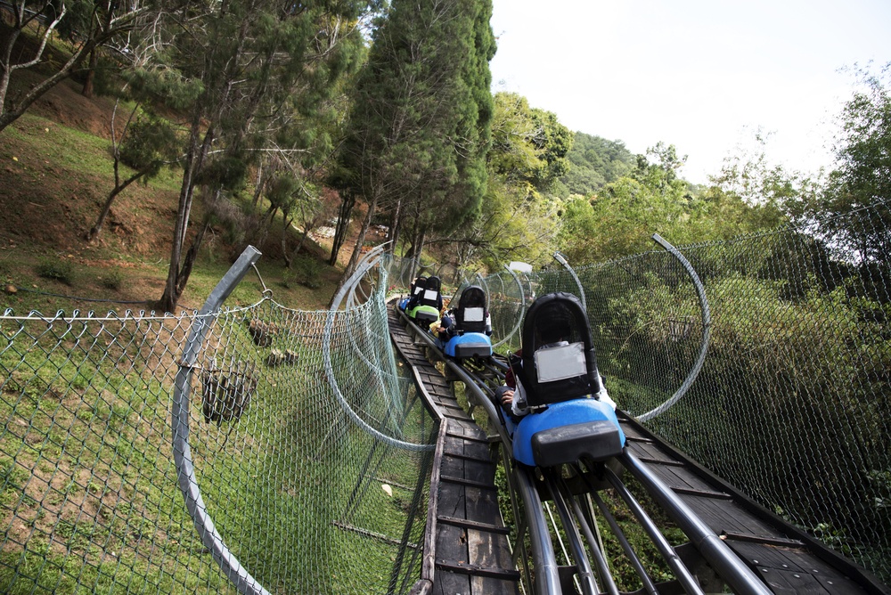 Rocky Top Mountain Coaster